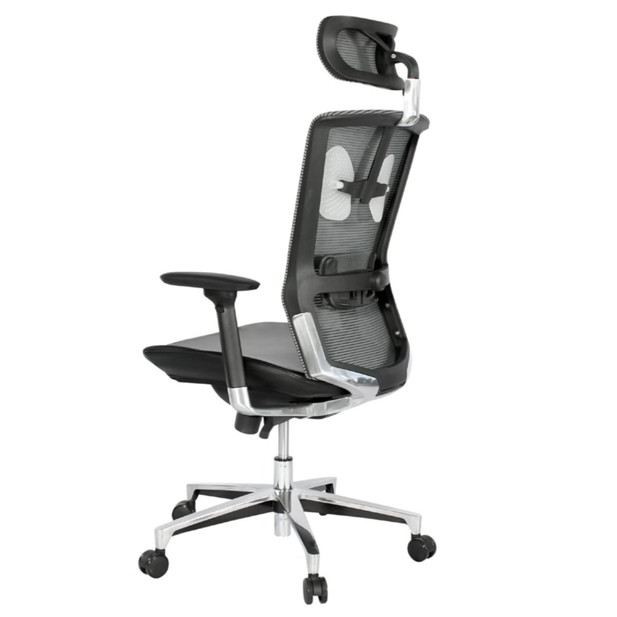 Taylor Presidente - Imagen 2