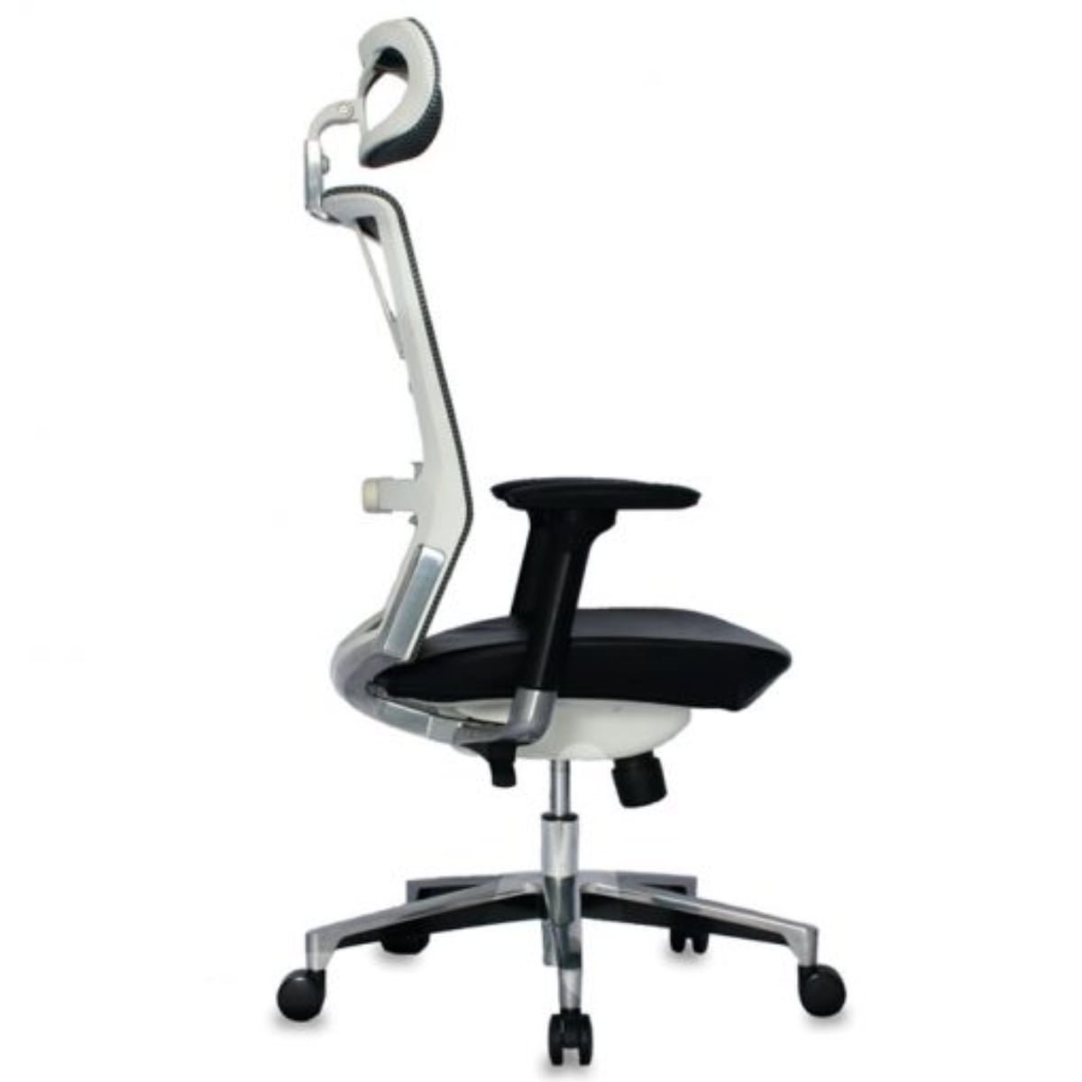 Taylor Presidente - Imagen 5