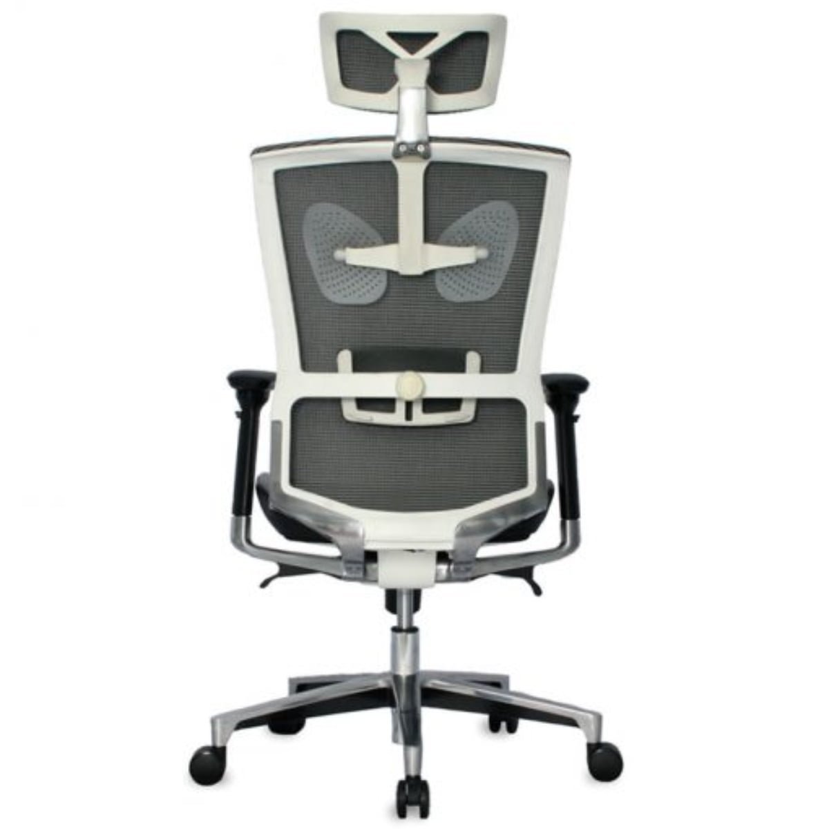 Taylor Presidente - Imagen 6